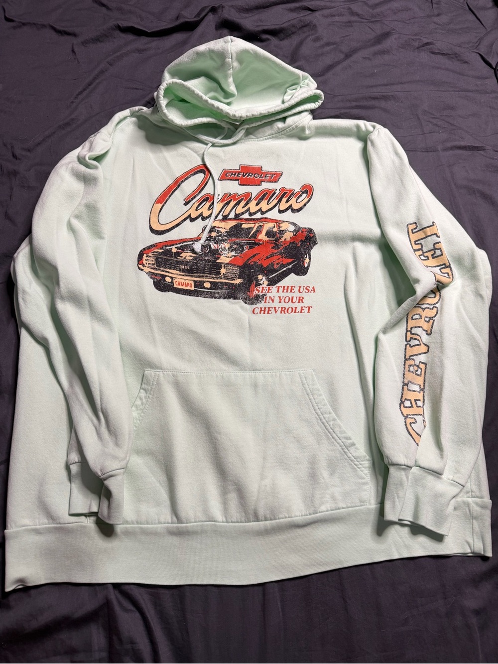 Camaro Graphic Hoodie in Mint Green - Men's Pullover Sweatshirt
